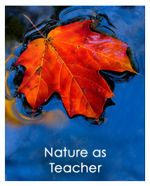 Nature as Teacher